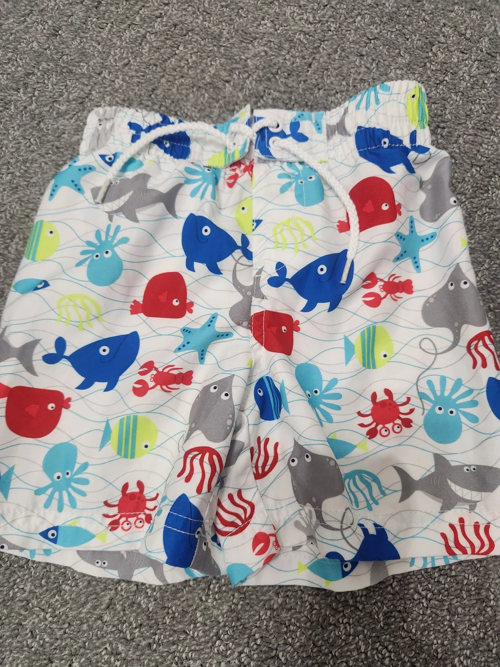 Koala Kids Rainbow Stripe Surf Swim Shorts & FISH 12-18mth